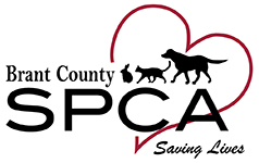 Brant County SPCA | Saving Lives