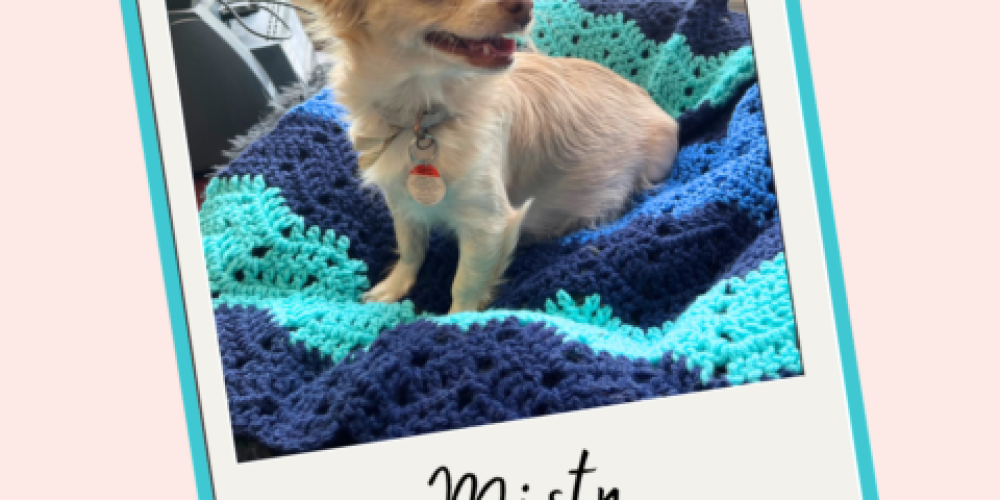 Misty’s Story: A Journey of Love, Care, and Community